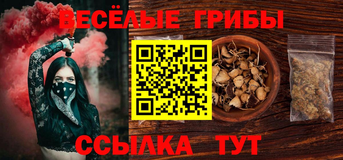 Галлюциногенные грибы прущие грибы  Вход с VPN  Псилоцибиновые грибы мицелий  Тайшет 