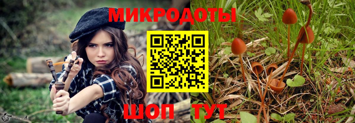 Галлюциногенные грибы Cubensis Тайшет